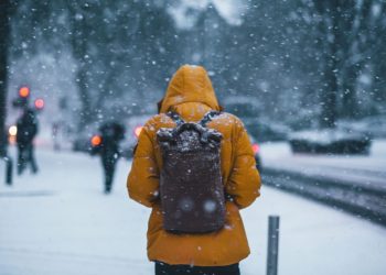 The Chilling Realities of Subzero Environments: Survival, Adaptation, and Impacts