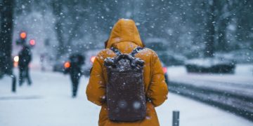 The Chilling Realities of Subzero Environments: Survival, Adaptation, and Impacts