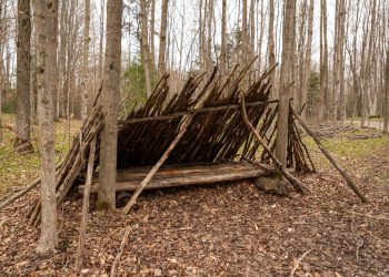 DIY Wilderness Shelter: Essential Skills for Outdoor Survival