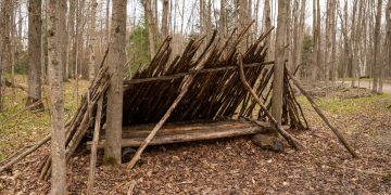 DIY Wilderness Shelter: Essential Skills for Outdoor Survival