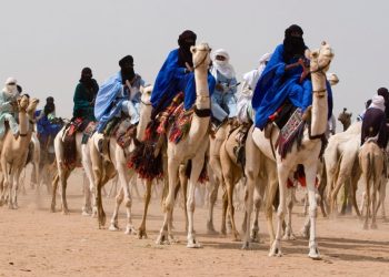 The Distribution of Different Ethnic Groups Across Africa: A Comprehensive Overview