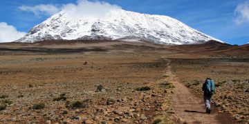 Mount Kilimanjaro’s Snow-capped Summit and the “Floating Sea of Clouds” Phenomenon