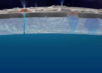 The Potential for Oceanic Life on Europa: Exploring Jupiter’s Icy Moon