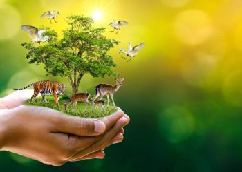 Coexisting with Wildlife: Strategies for Harmonious Human-Nature Interaction