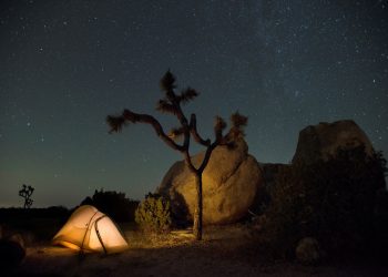 Desert Canopy Camping: A Comprehensive Guide to Stargazing Adventures
