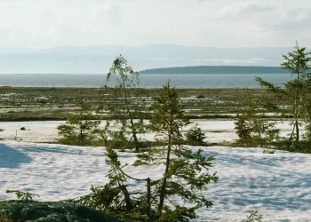 The Siberian Taiga and Tundra: Natural Wonders of the Far North