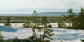 The Siberian Taiga and Tundra: Natural Wonders of the Far North