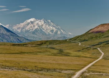 The Alaskan Wilderness: The Untamed Heart of the Last Frontier