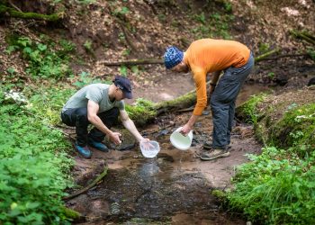 The Rise of Solo Adventure and Minimalist Survival Challenges