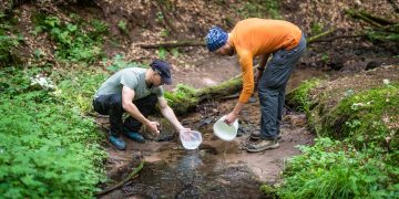 The Rise of Solo Adventure and Minimalist Survival Challenges