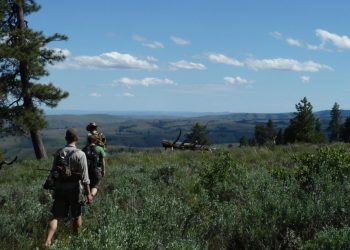 Solo Wilderness Survival: Experiencing the Untamed Outdoors Without Assistance