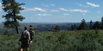 Solo Wilderness Survival: Experiencing the Untamed Outdoors Without Assistance