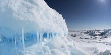 Life in Earth’s Extreme Environments: Surviving the Harshest Conditions