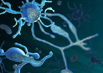 Under What Conditions Can Life Arise?