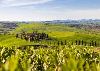 Field-Based Travel: A Comprehensive Guide to Rural and Experiential Exploration