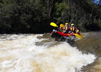 Winter Whitewater Kayaking: Navigating Cold Water Rapids