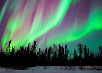 The Colorful Shifts of the Aurora Borealis and the Emergence of New Subauroral Phenomena