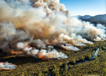 Extreme Wilderness Weather Moments: Navigating the Harshest Climates