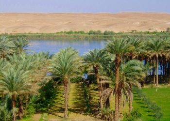 The Remarkable Science of Ancient Hydraulic Engineering