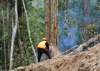 Does Entering Pristine Nature Harm Ecosystems? An Examination of Human Impact on Wilderness Areas