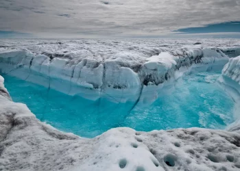 Acid-Tolerant Life in Volcanic Lakes: Exploring Life in Earth’s Extreme Acidic Environments