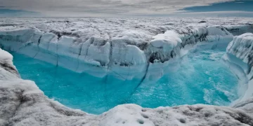 Acid-Tolerant Life in Volcanic Lakes: Exploring Life in Earth’s Extreme Acidic Environments