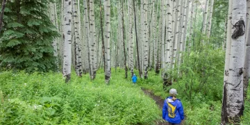 How to Practice True “Leave No Trace” Travel