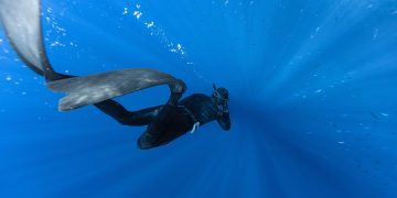 Fins-Free Freediving: The Art and Science of Deep Apnea
