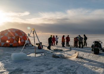 Polar Expeditions: Conquering the Arctic and Antarctic Extremes