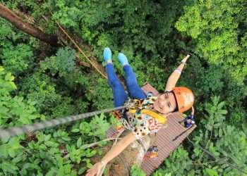 Safety Controversies and Accident Analysis in High-Risk Activities